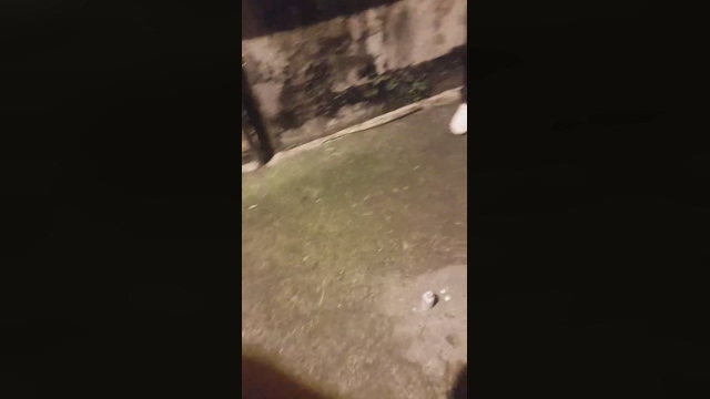 santiagosexo4  07-04-2022